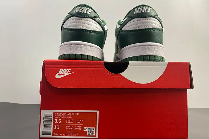 NIKE DUNK LOW RETRO DD1391-101