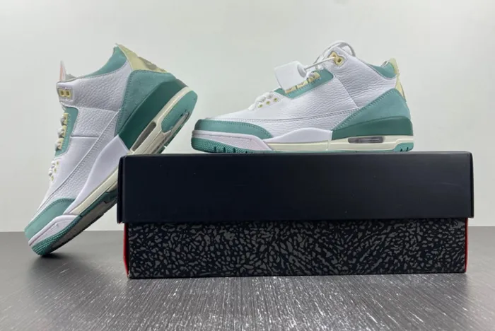Air Jordan 3 DT8532-130
